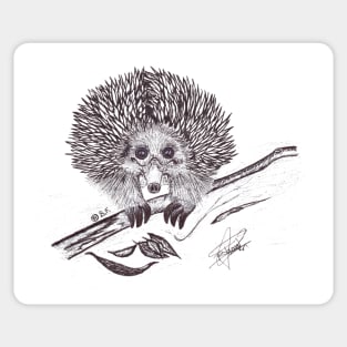 Echidna Sticker